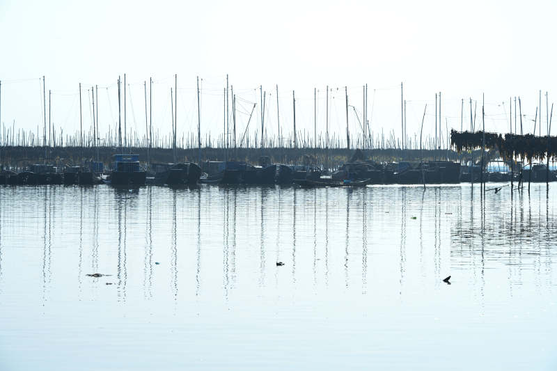 静谧码头晨景图片