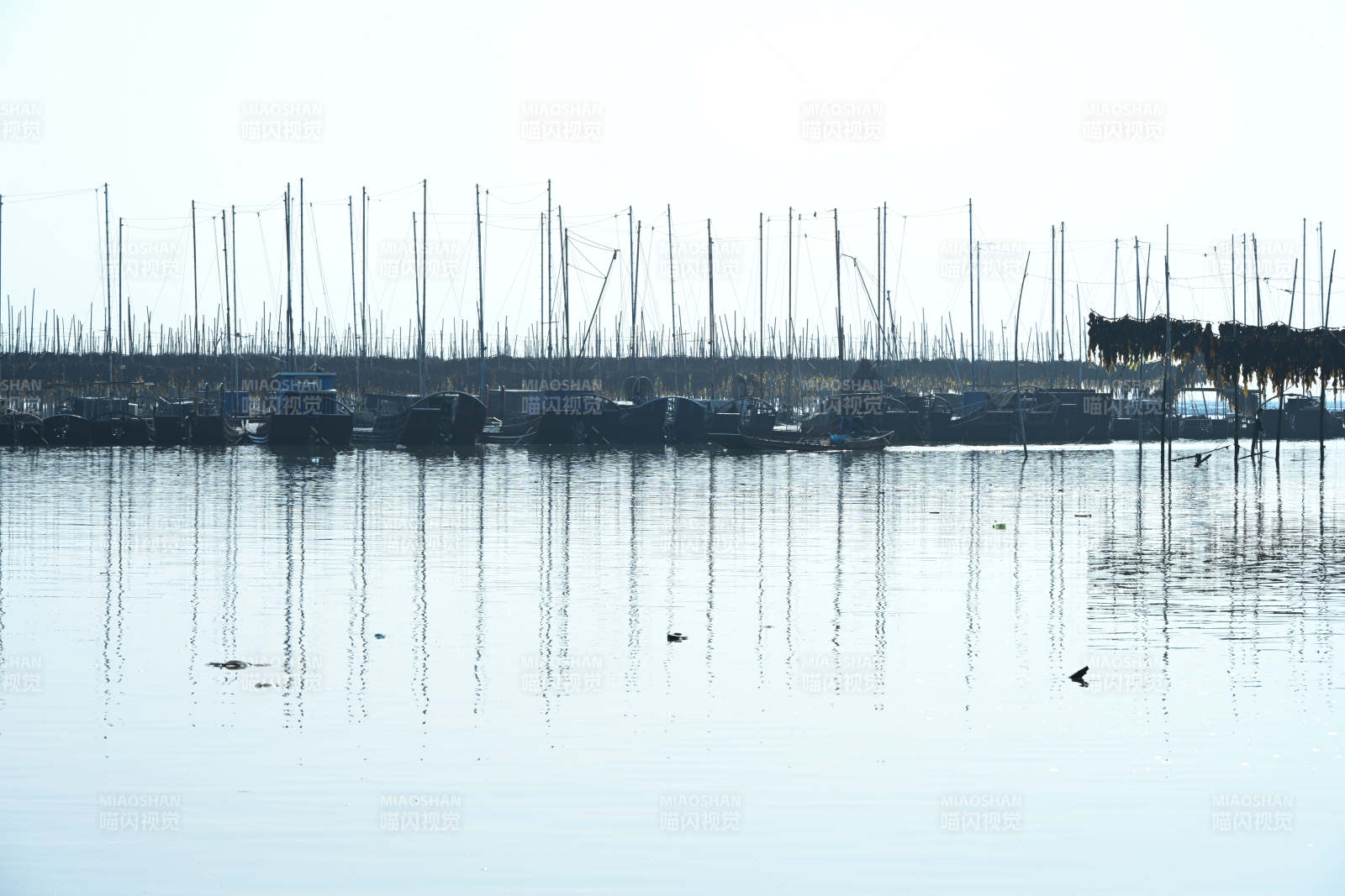 静谧码头晨景图片