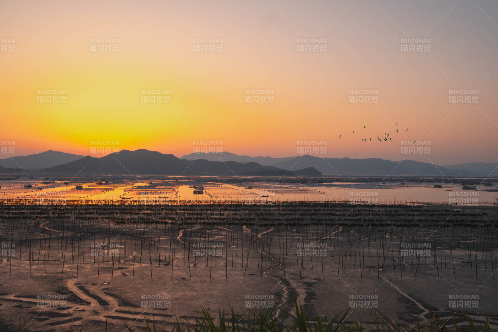 日落盐田飞鸟归图片