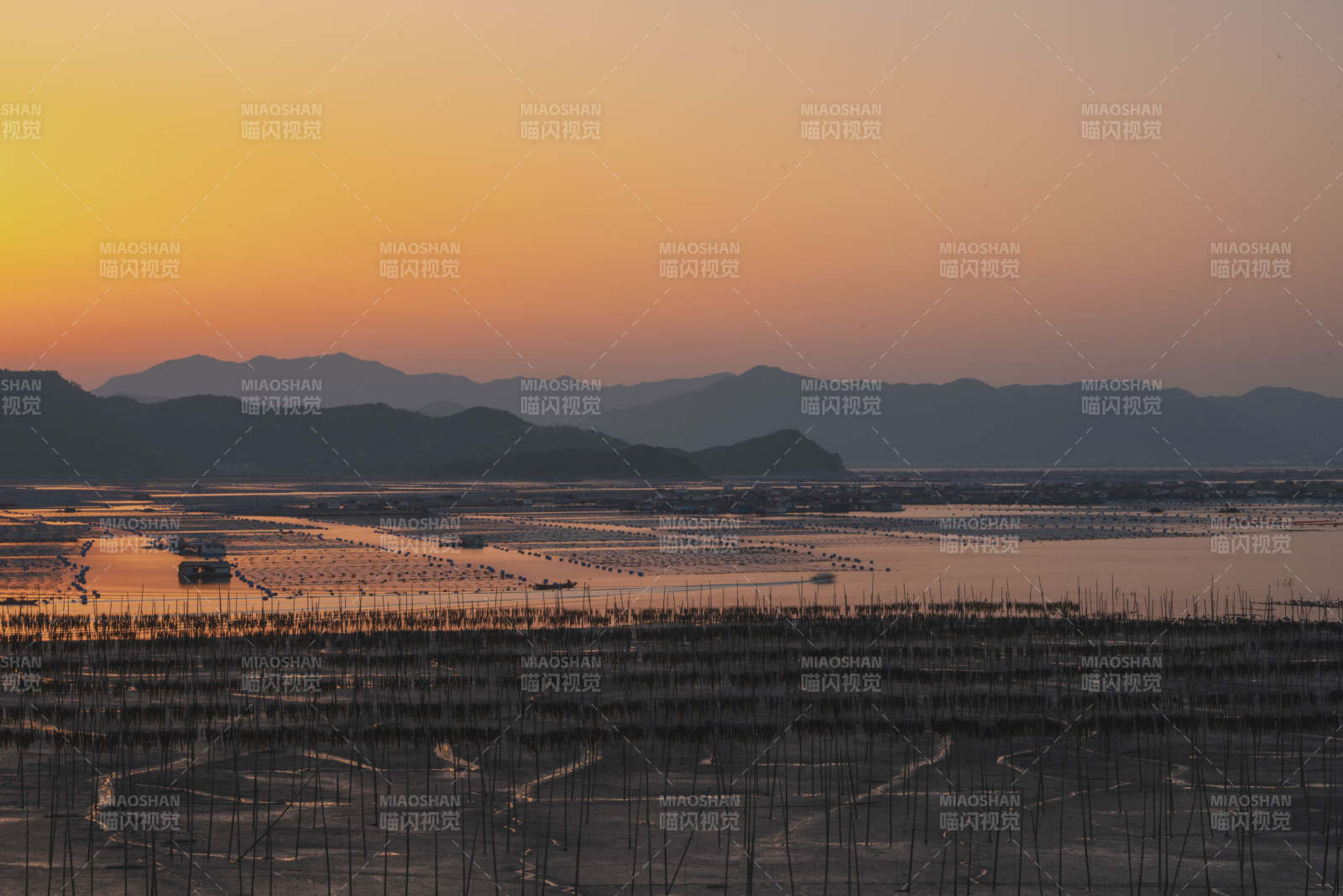 夕阳下的盐田风光图片