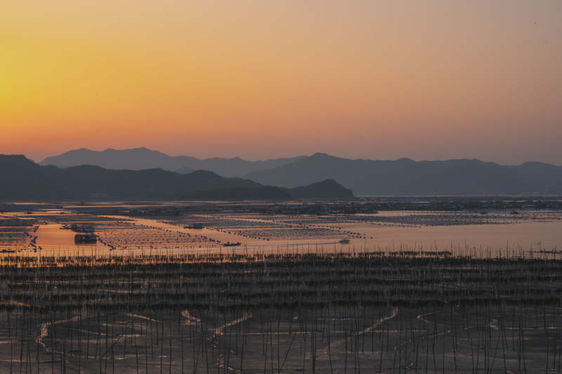 夕阳下的盐田风光图片