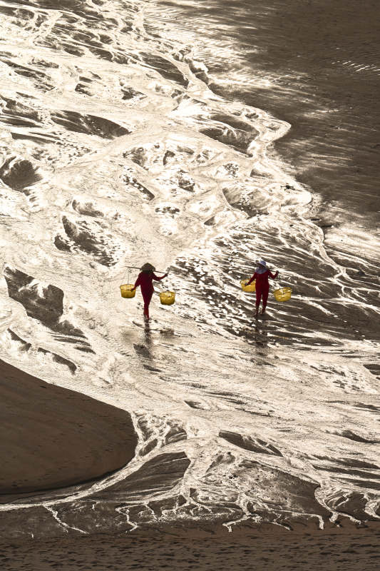 滩涂拾贝人图片