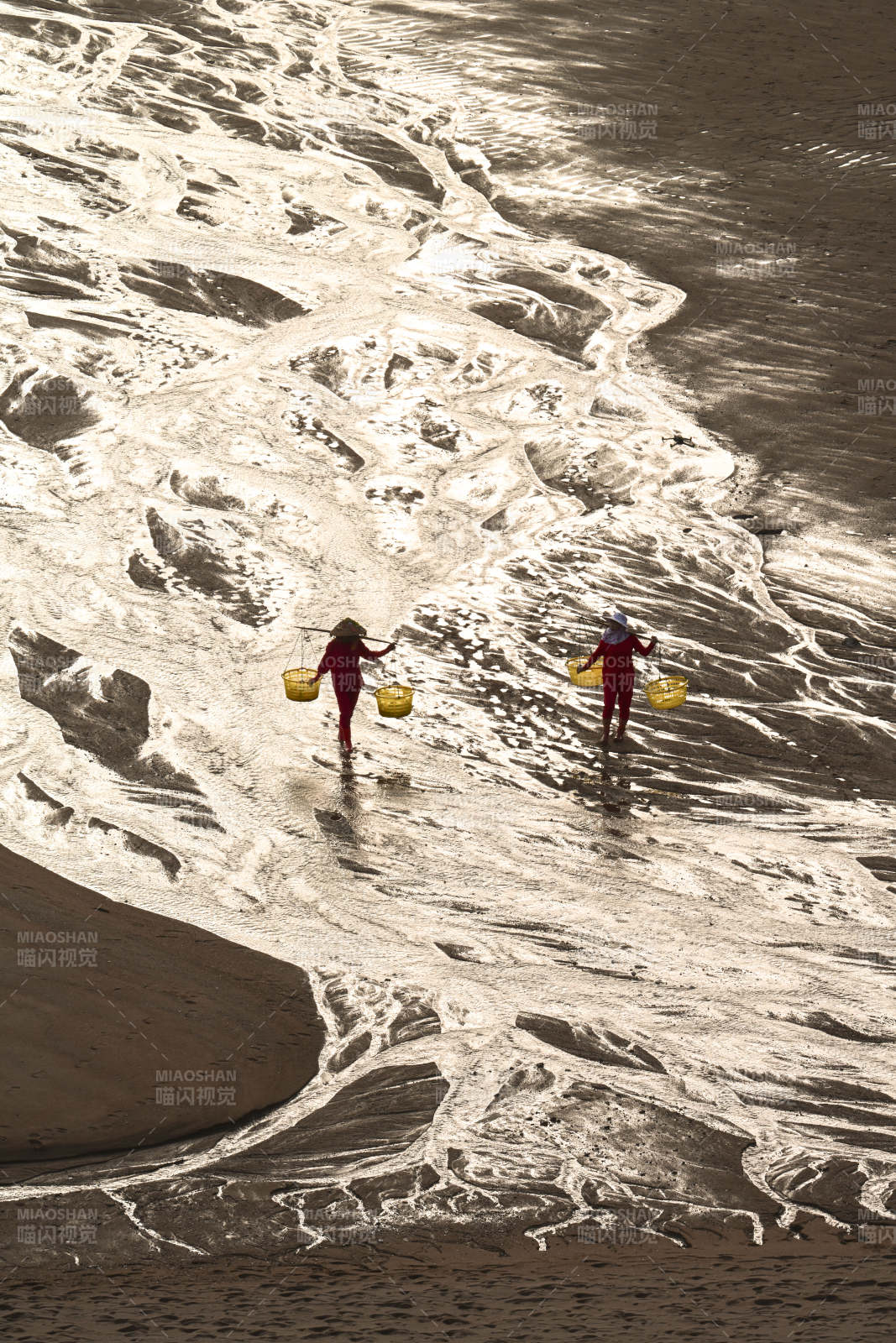 滩涂拾贝人图片