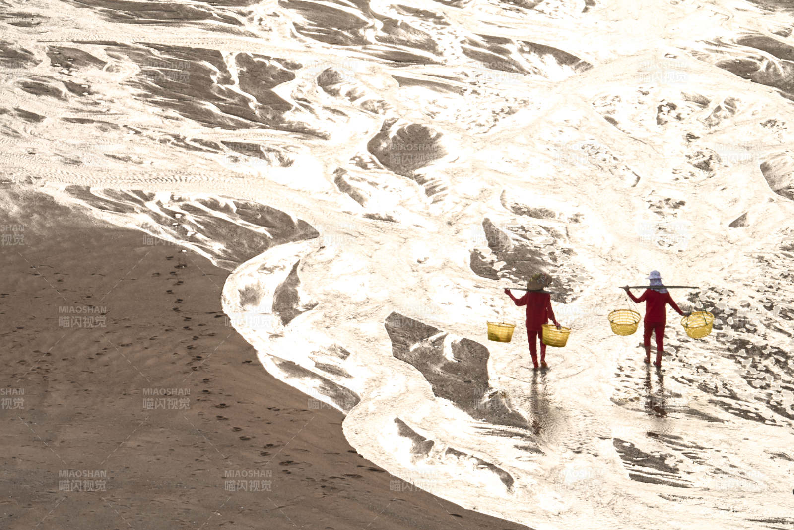 沙滩拾贝的两人图片