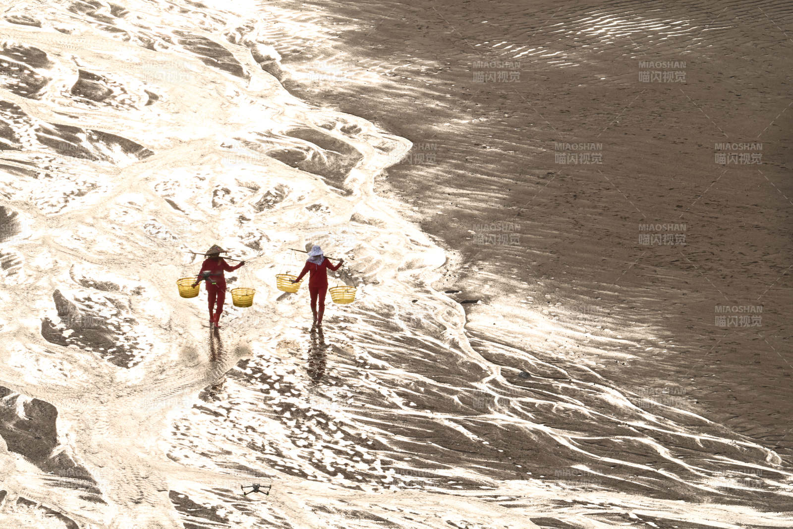 沙滩拾贝人图片