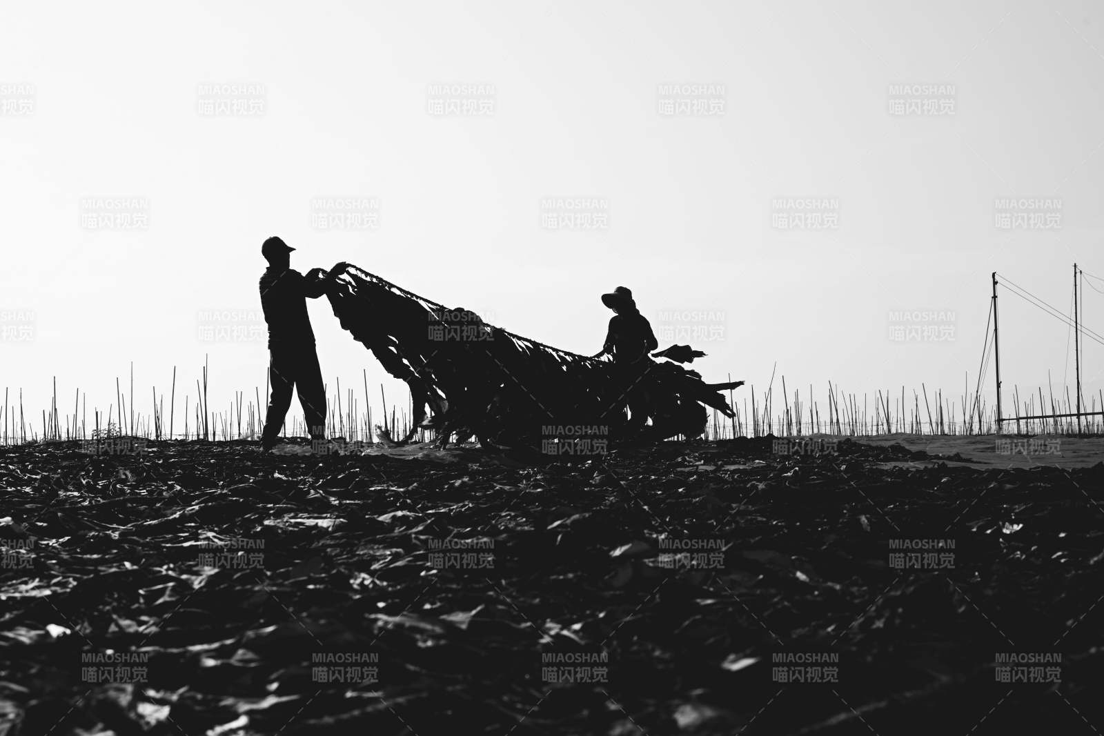 农耕剪影图片