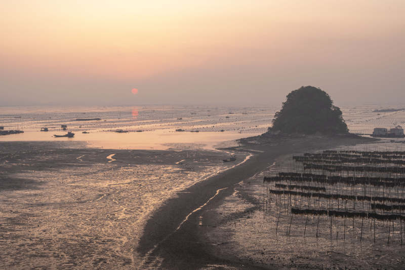 日落滩涂风光图片