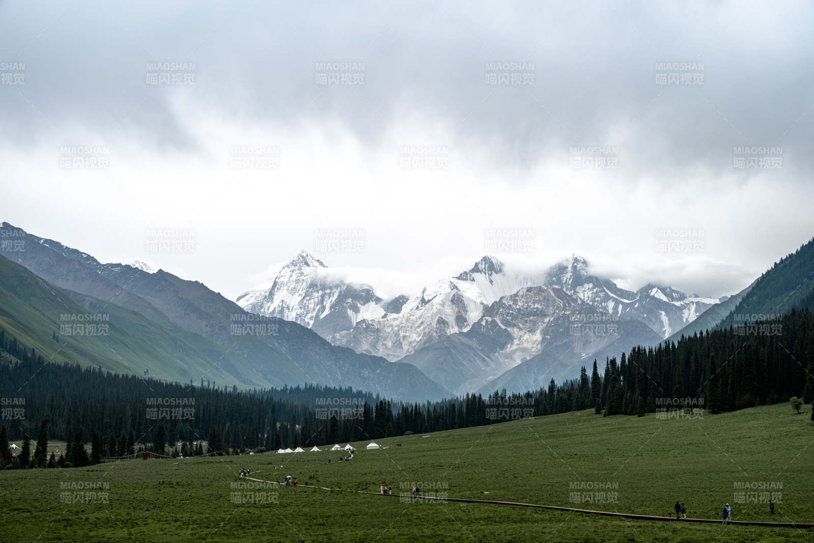雪山草原风光图片