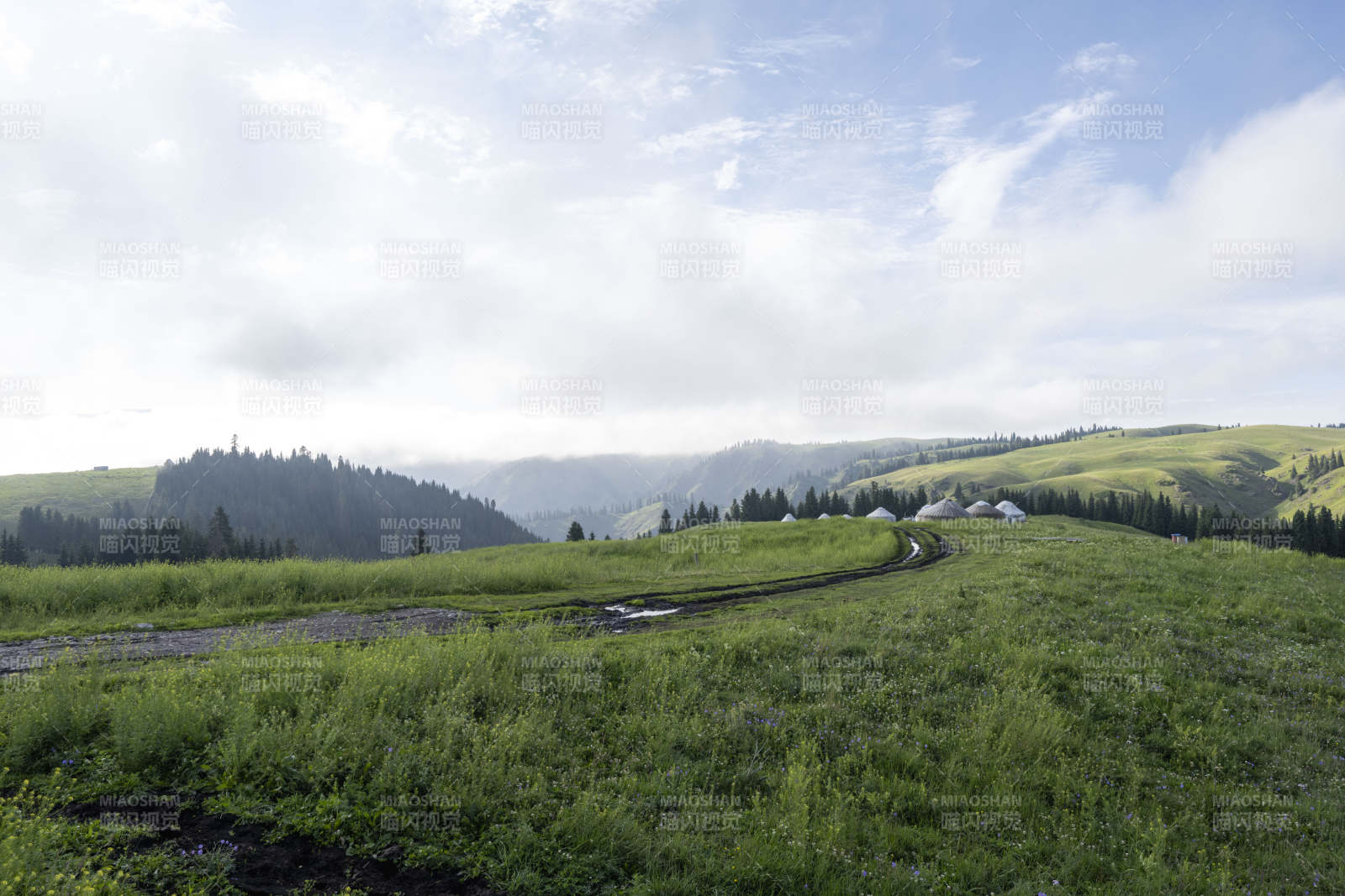 绿野山间小径图片