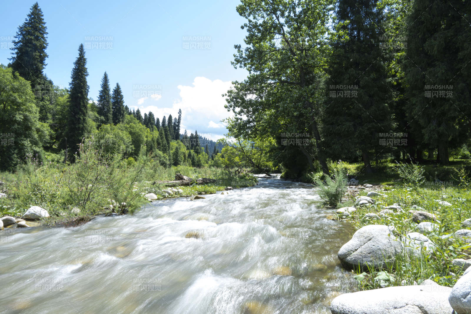 溪流穿林而过图片
