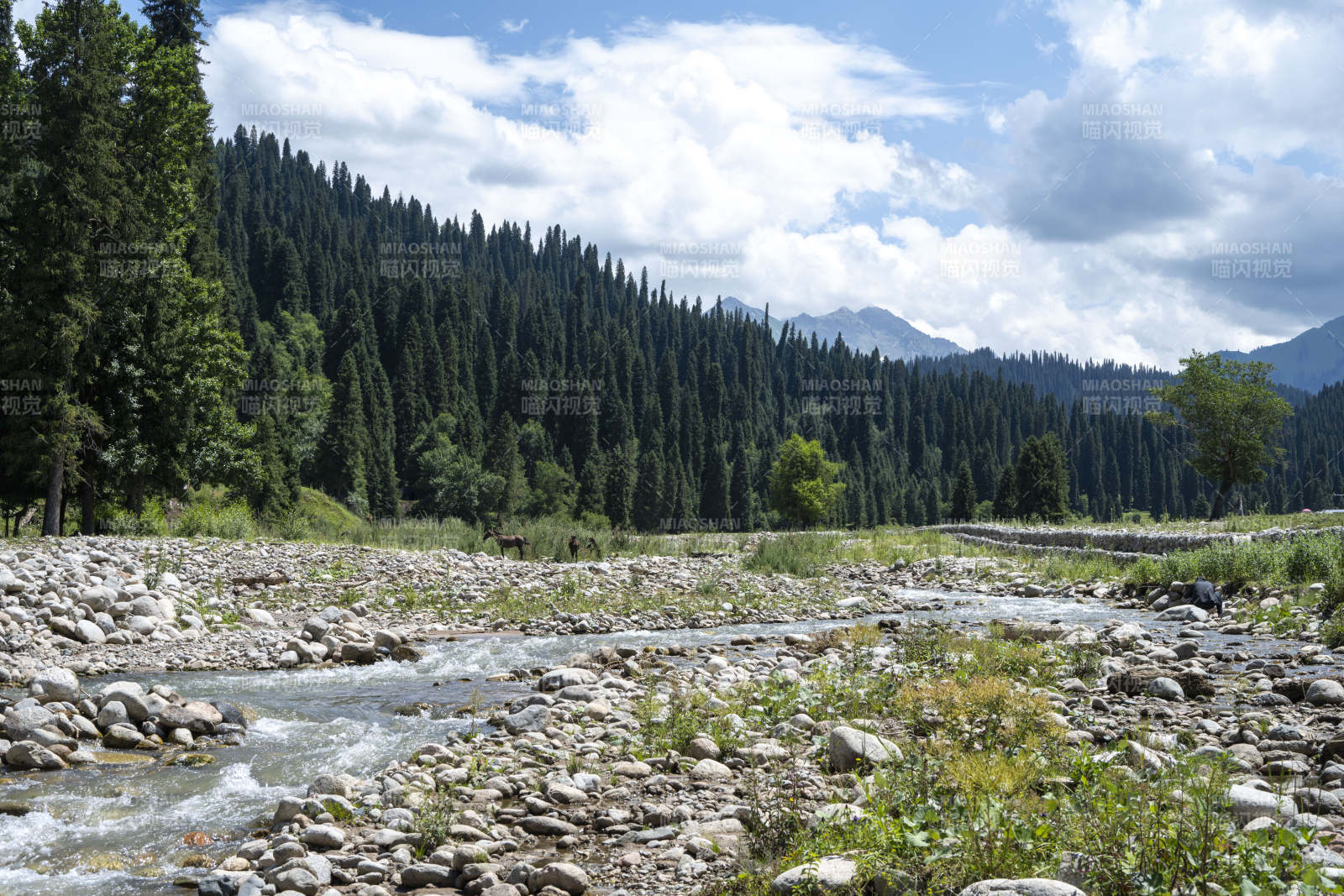 山间溪流石滩图片