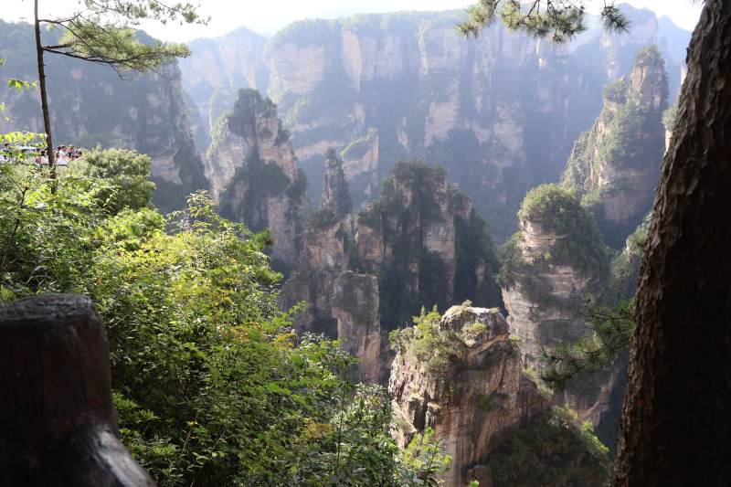 奇峰林立 绿意盎然图片