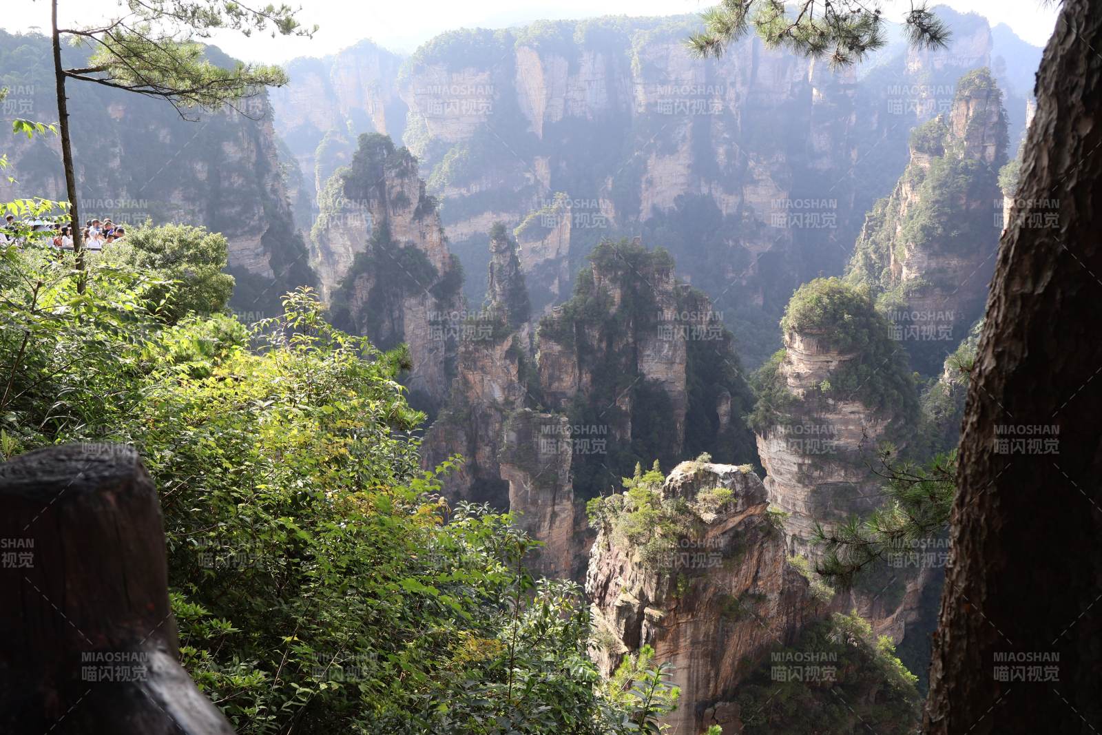 奇峰林立 绿意盎然图片