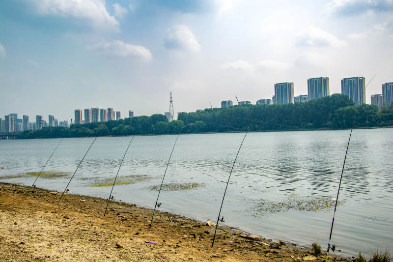 湖畔垂钓静谧景图片