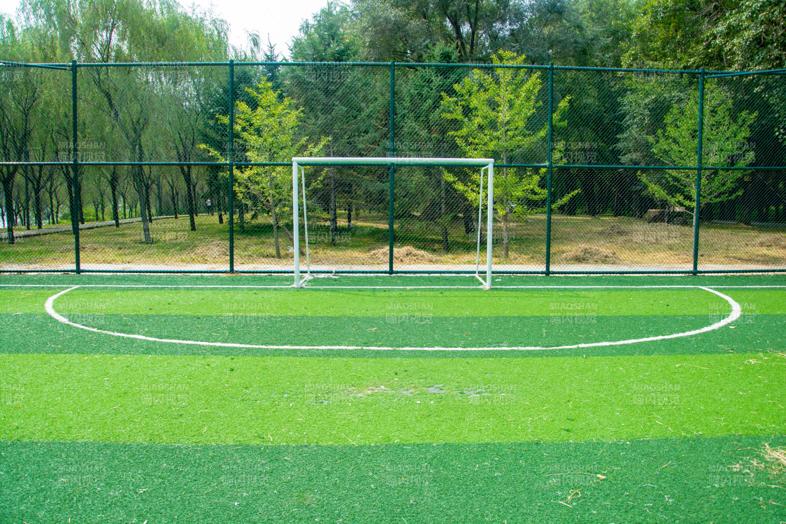 绿茵球场静谧景图片