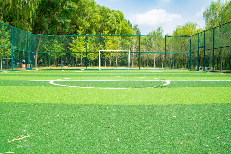 绿茵足球场图片