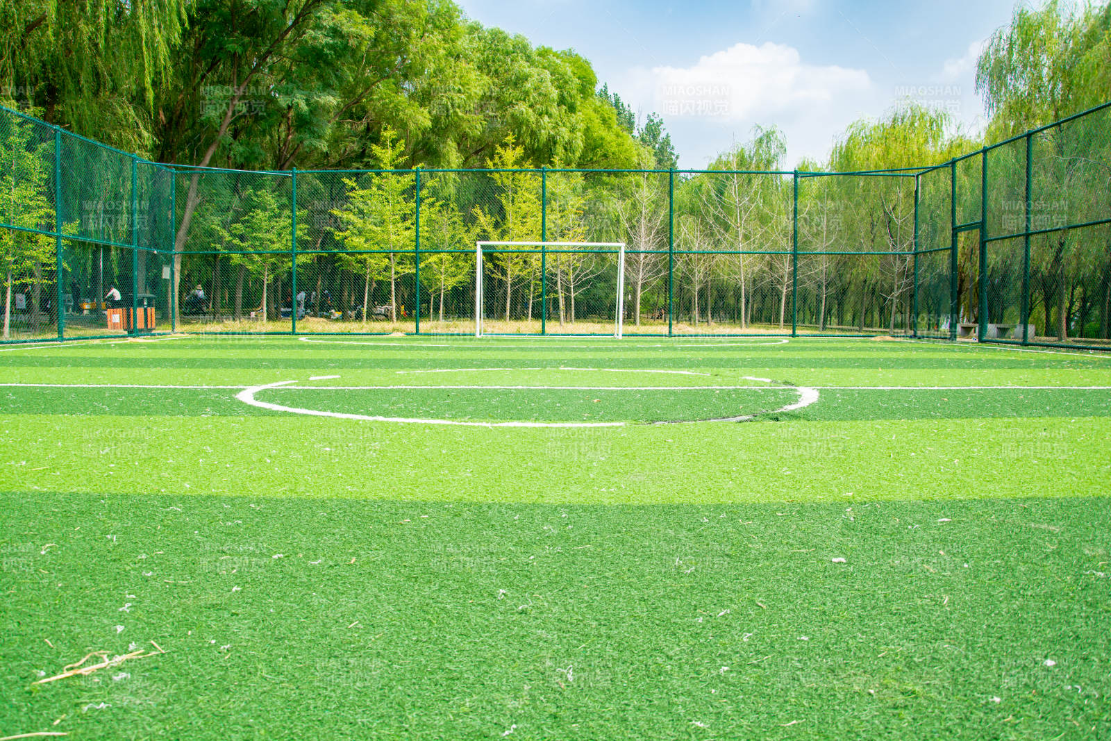 绿茵足球场图片