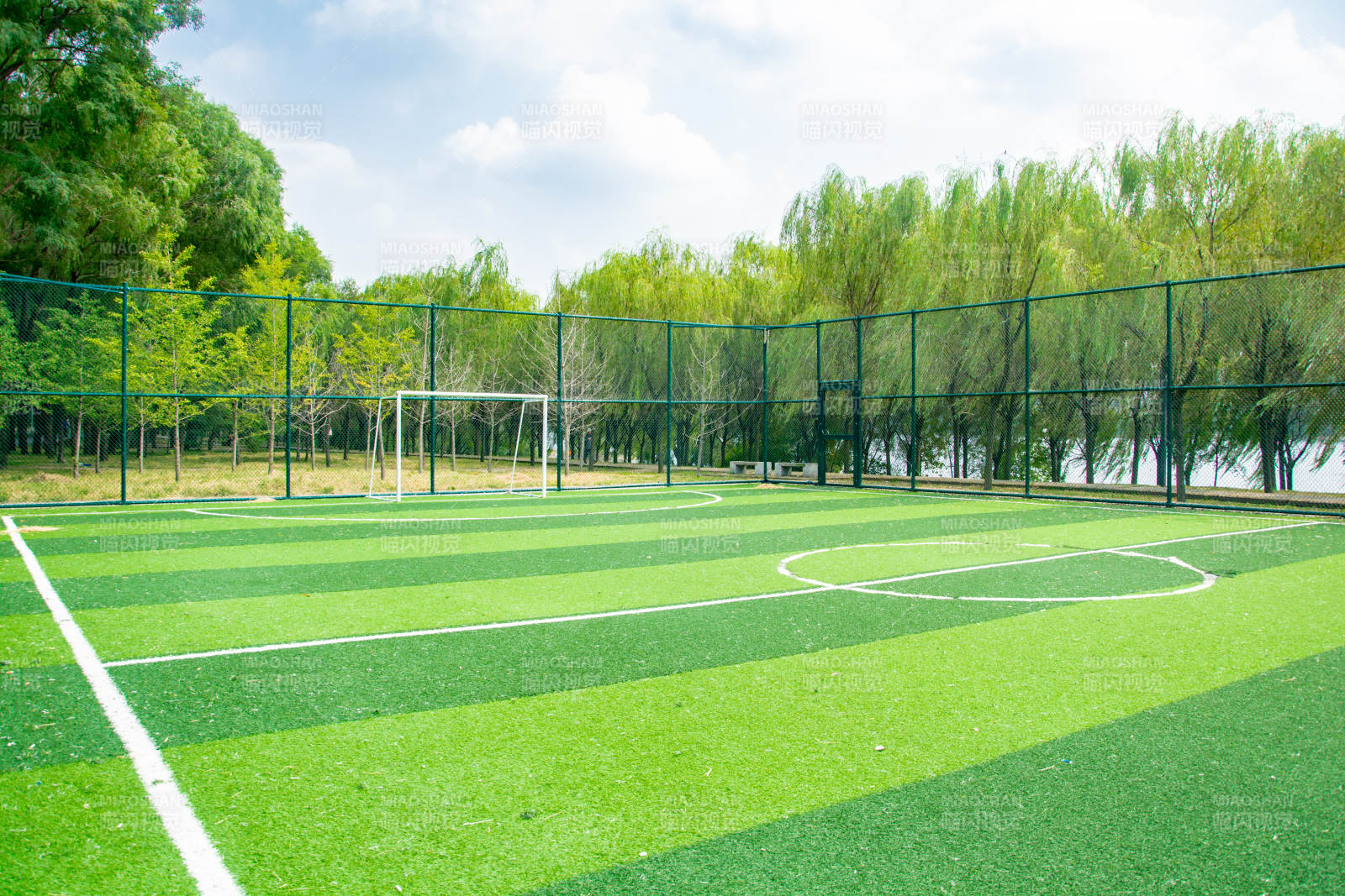 绿茵足球场图片