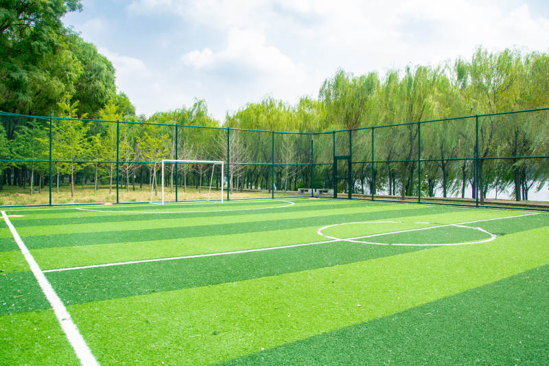 绿茵足球场图片