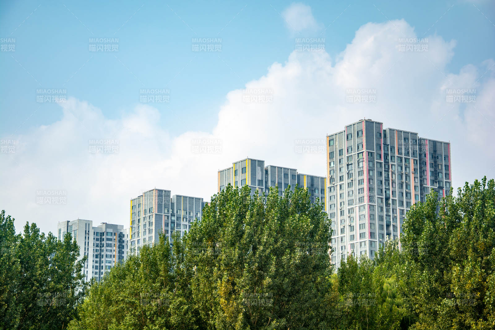 高楼林立绿树成荫图片