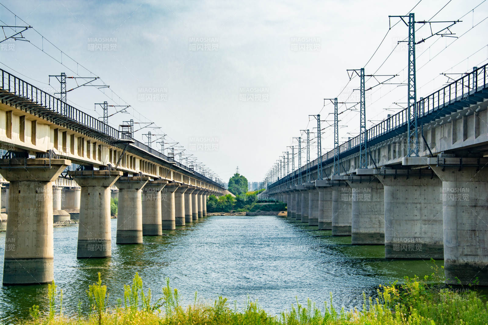 双桥跨水 绿意盎然图片