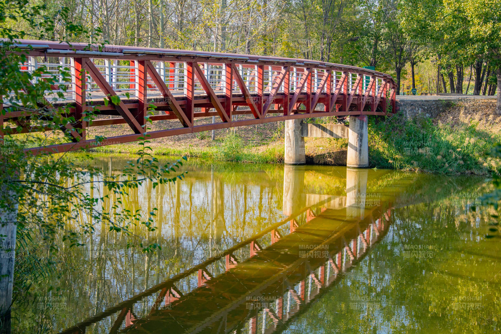 红桥映水绿树成荫图片