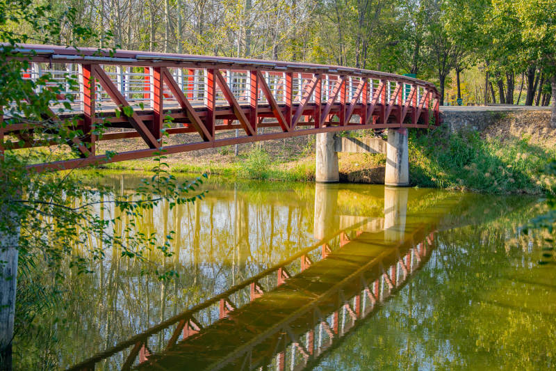 红桥映水绿树成荫图片