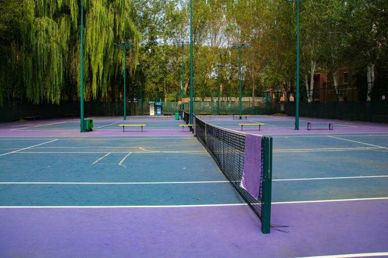 紫绿相间的网球场图片