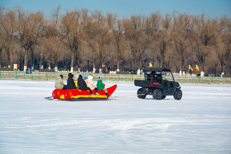 冰上雪橇欢乐行图片