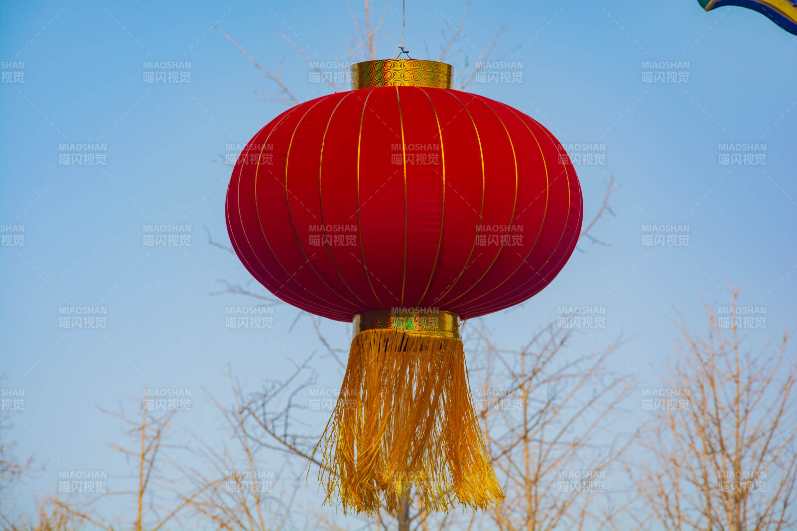 红灯笼迎新春图片