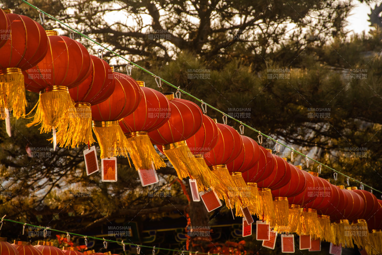 红灯笼迎新春图片