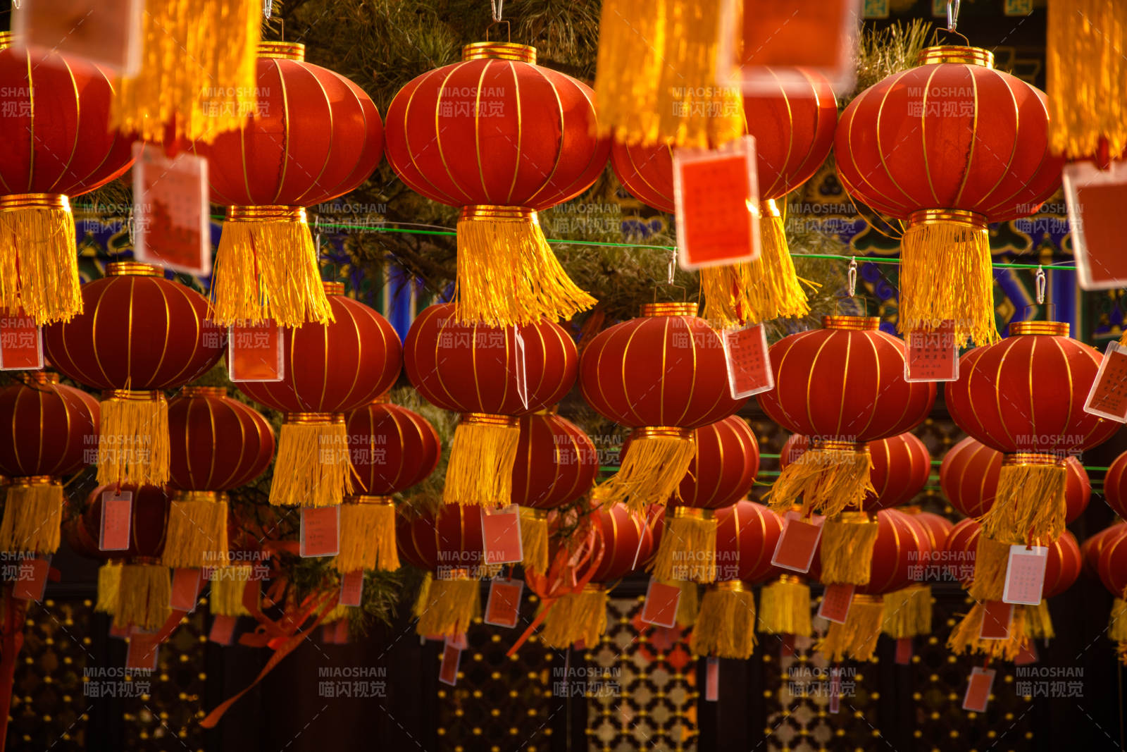 红灯笼挂满街图片