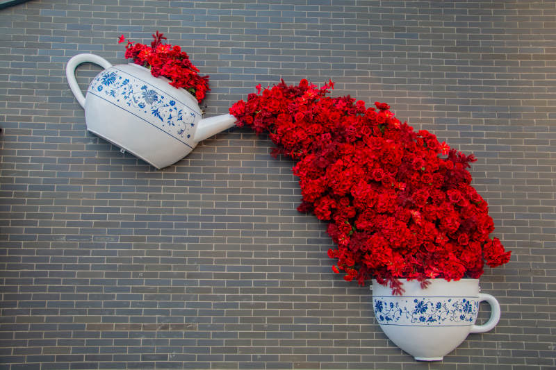 茶壶倾花入杯图片