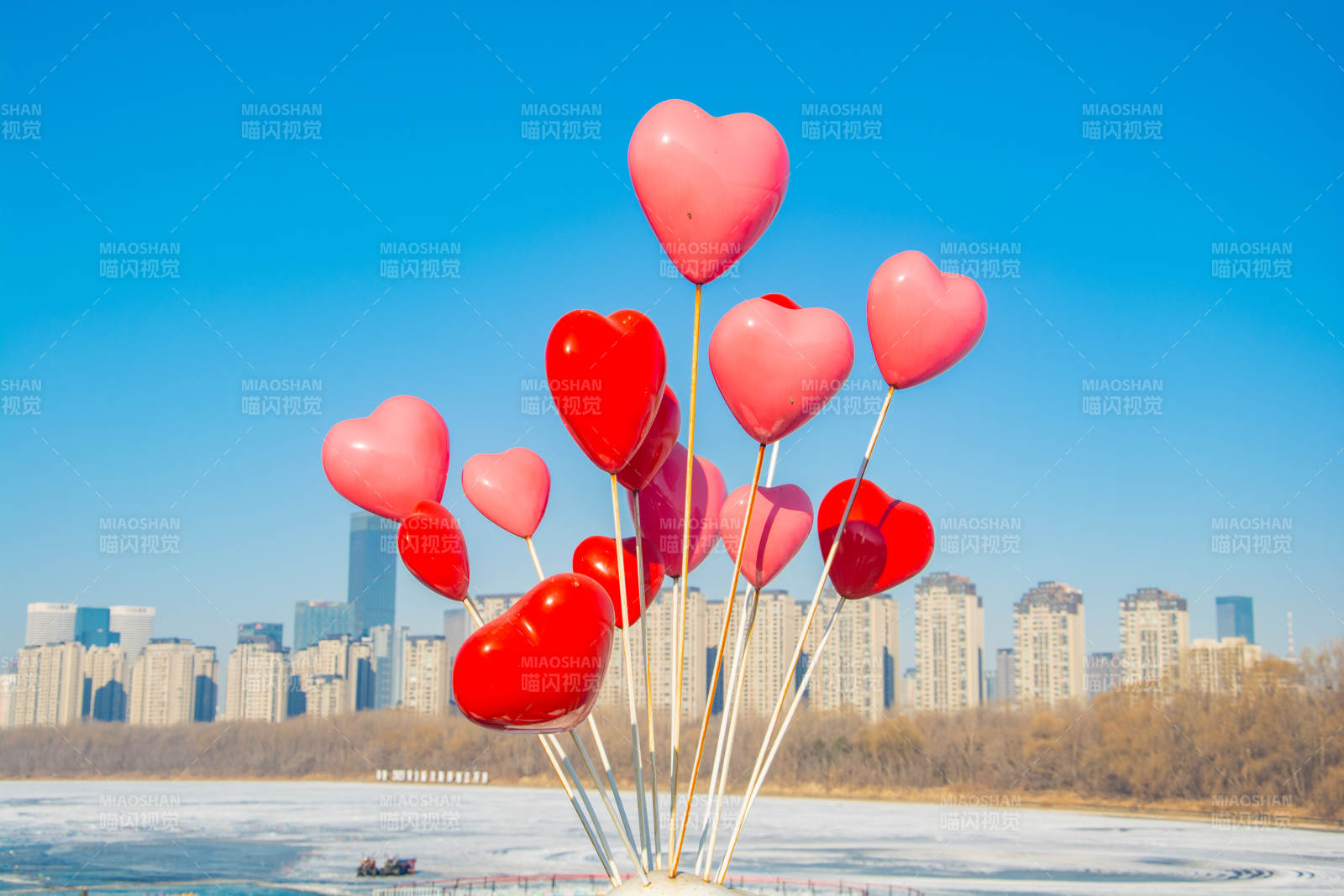 心形气球迎风飘图片