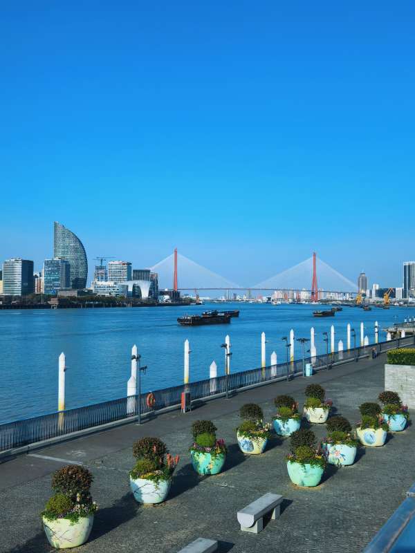 晴空下的城市水岸图片