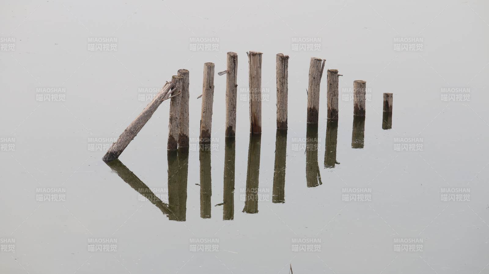 水中倒影的木桩图片