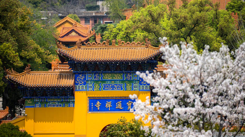 通玄禅寺春景图片