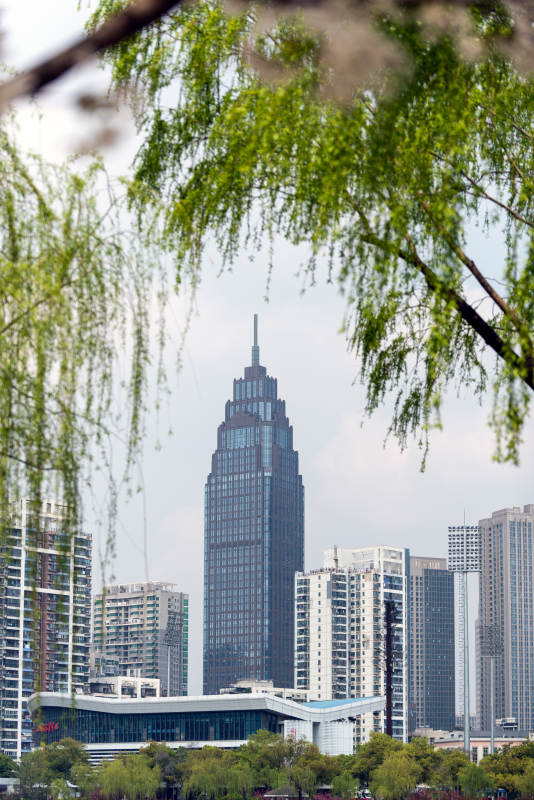 城市绿影中的高楼图片