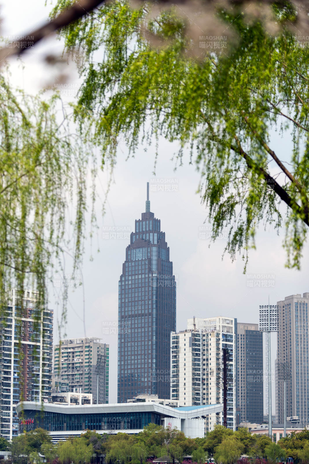 城市绿影中的高楼图片