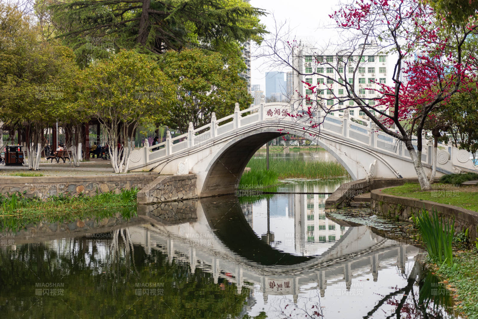 拱桥倒影春景图片