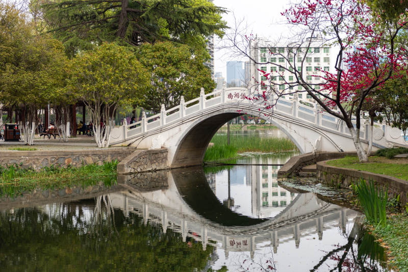 拱桥倒影春景图片