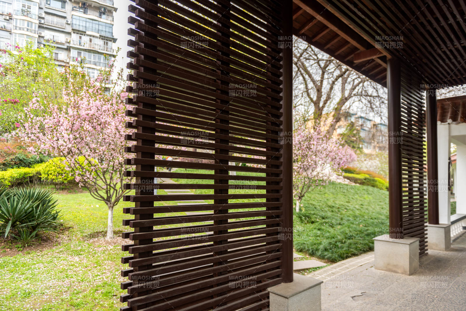 庭院春景 花木扶疏图片