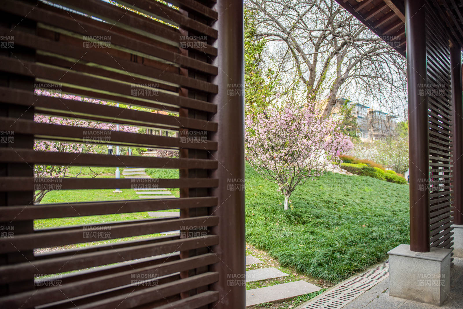 庭院春景 花树掩映图片