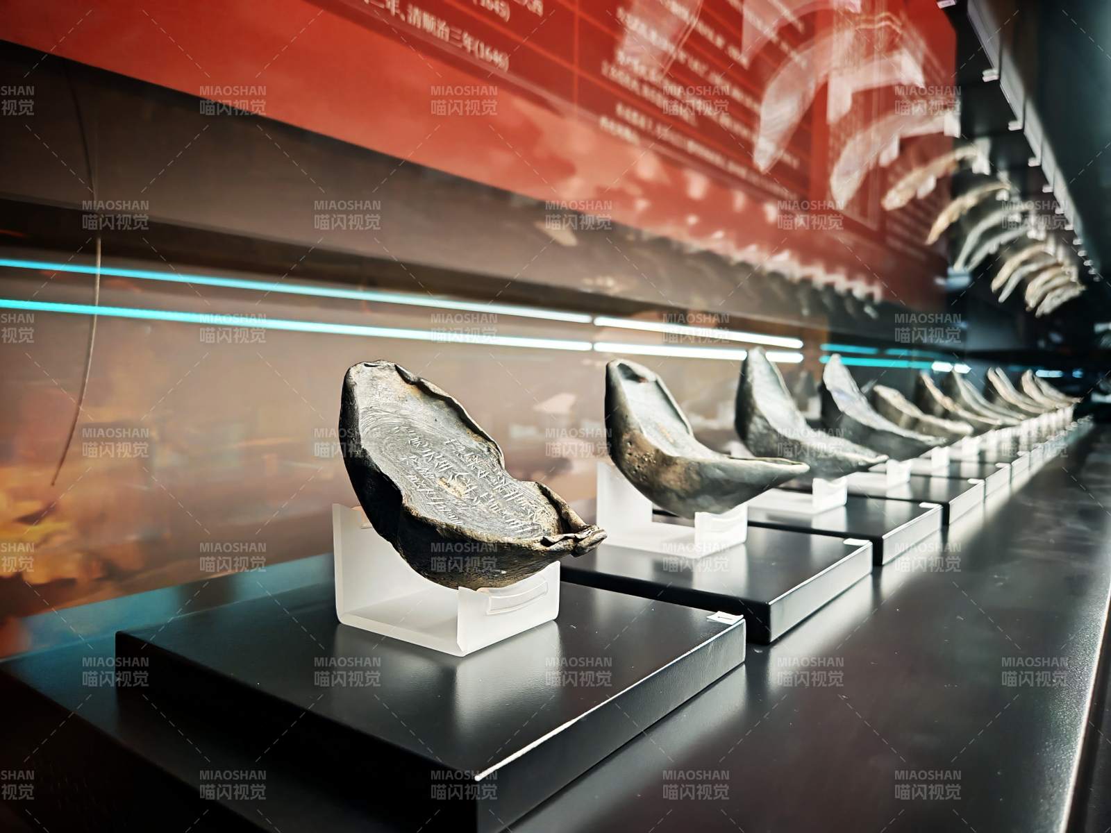 古贝壳展列图片