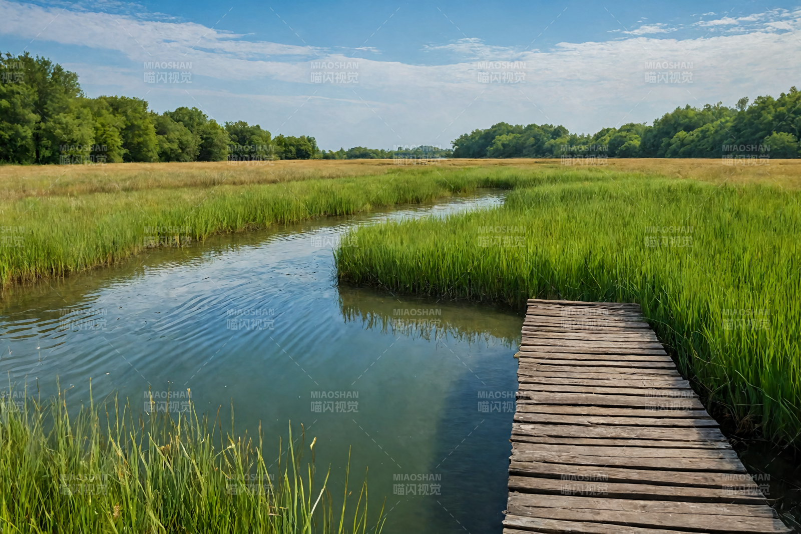湿地木栈道图片
