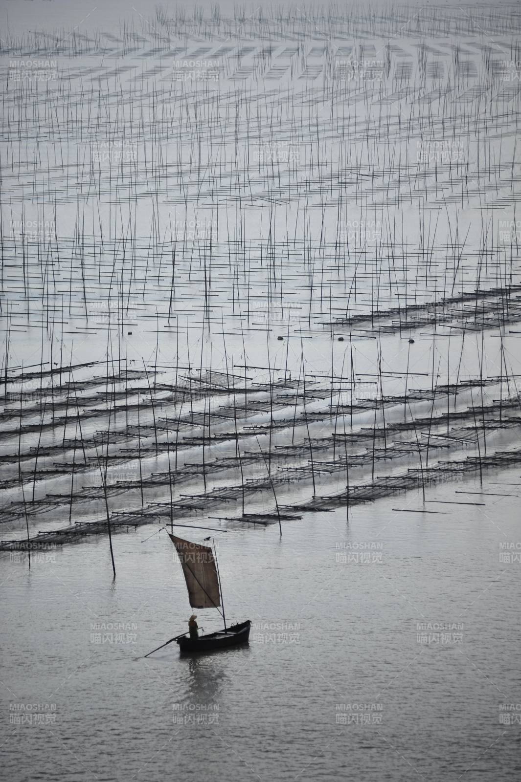 渔舟轻帆过网阵图片