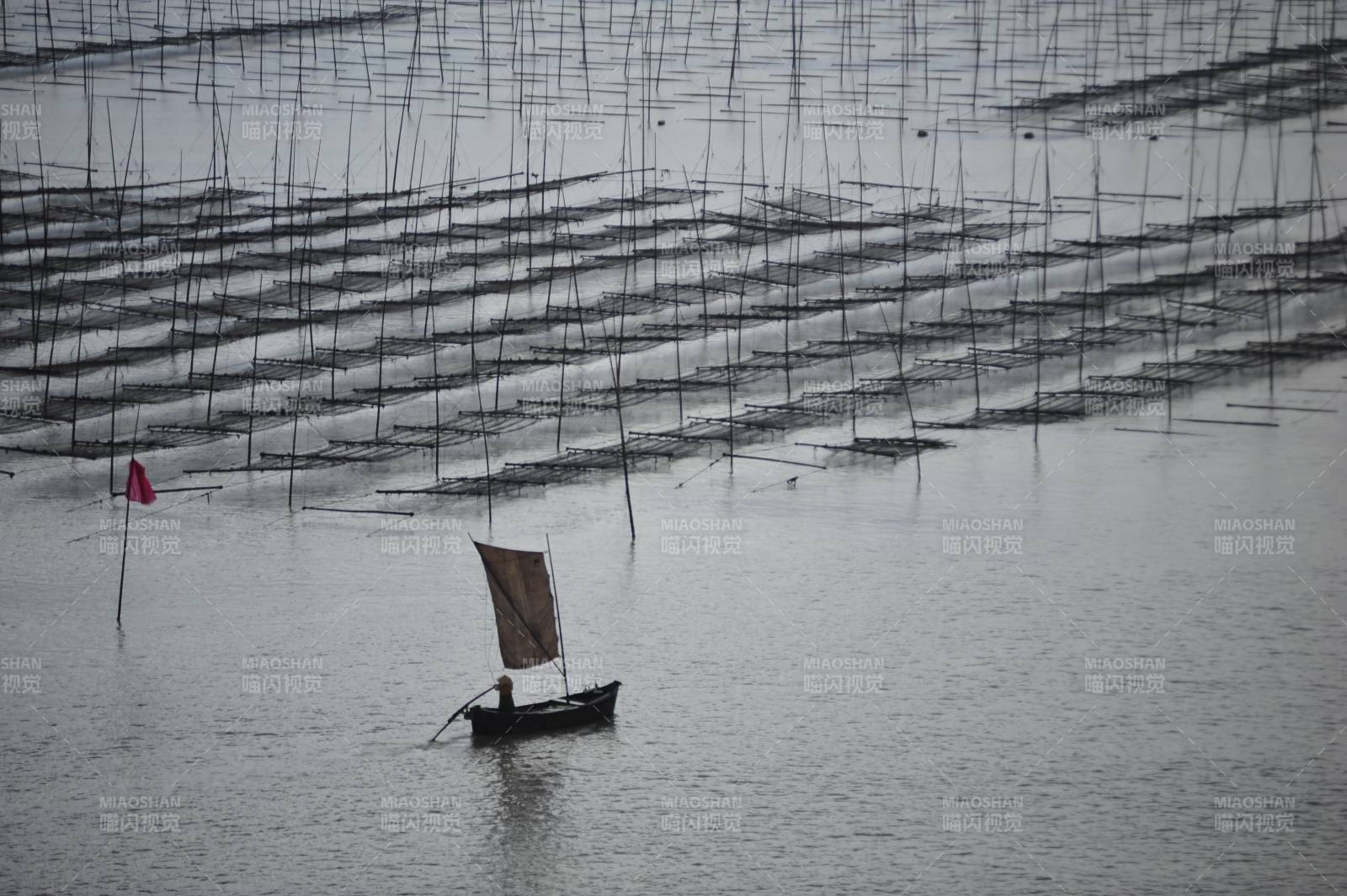 渔舟轻帆过网阵图片