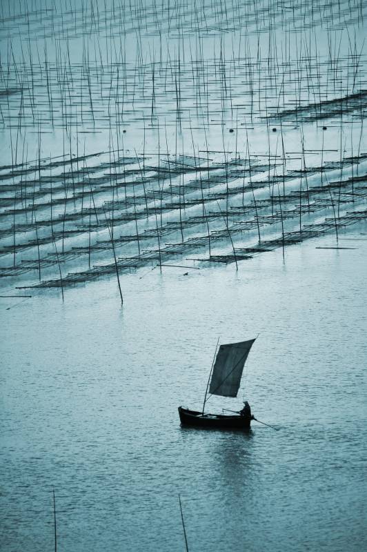 孤舟破晓 网海行舟图片