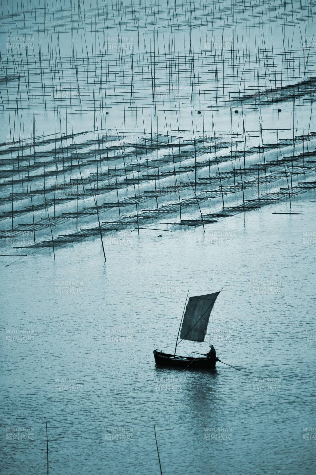 孤舟破晓 网海行舟图片