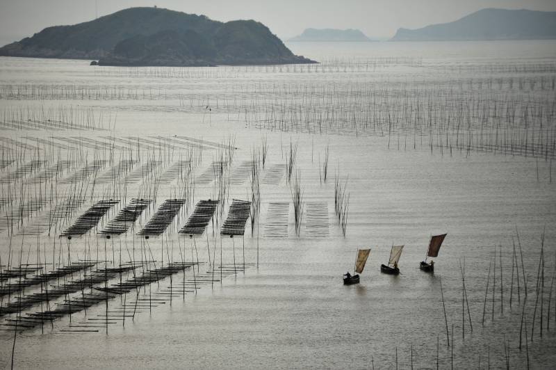 海上竹筏捕鱼图图片